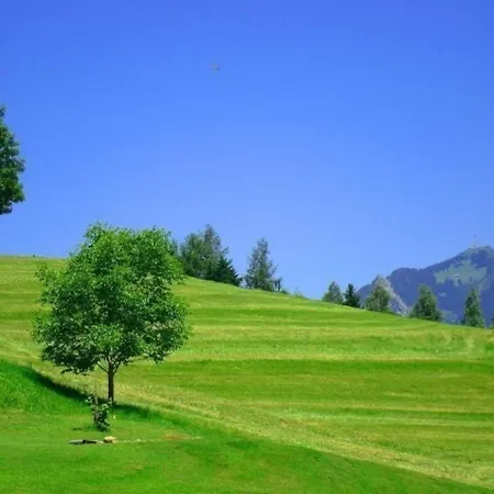 Wunderschoene In Sigiswang Mit Terrasse *