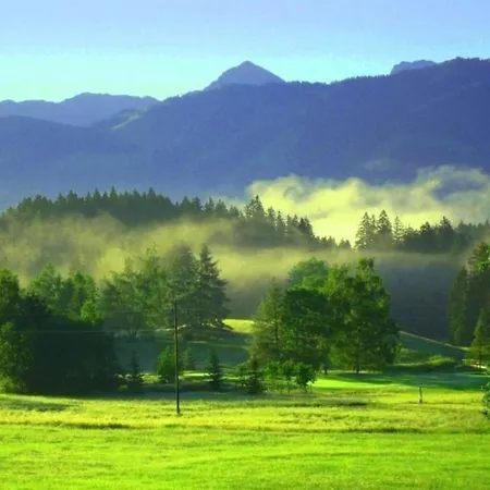 Wunderschoene In Sigiswang Mit Terrasse Lejlighed *