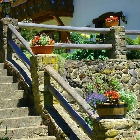 Wunderschoene In Sigiswang Mit Terrasse Lejlighed